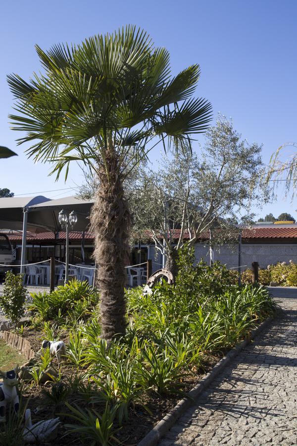 Bed and Breakfast Quinta Da Fontinha Celorico De Basto Exterior foto